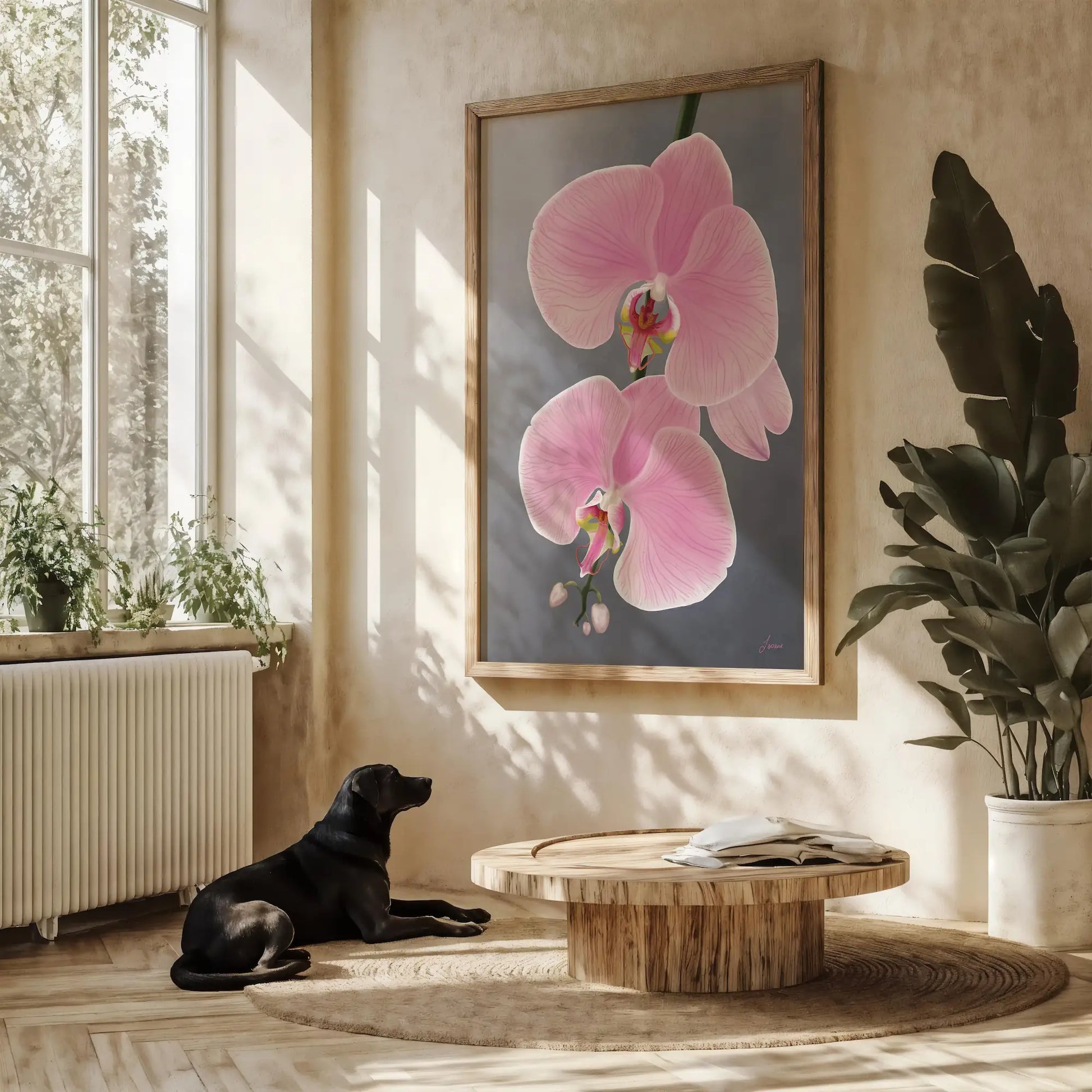A black dog lies on a sunlit wooden floor in a cozy room with large windows, lush green plants, and a round coffee table. A gallery-wrapped canvas of pink orchids hangs on the wall, bathed in warm natural light.