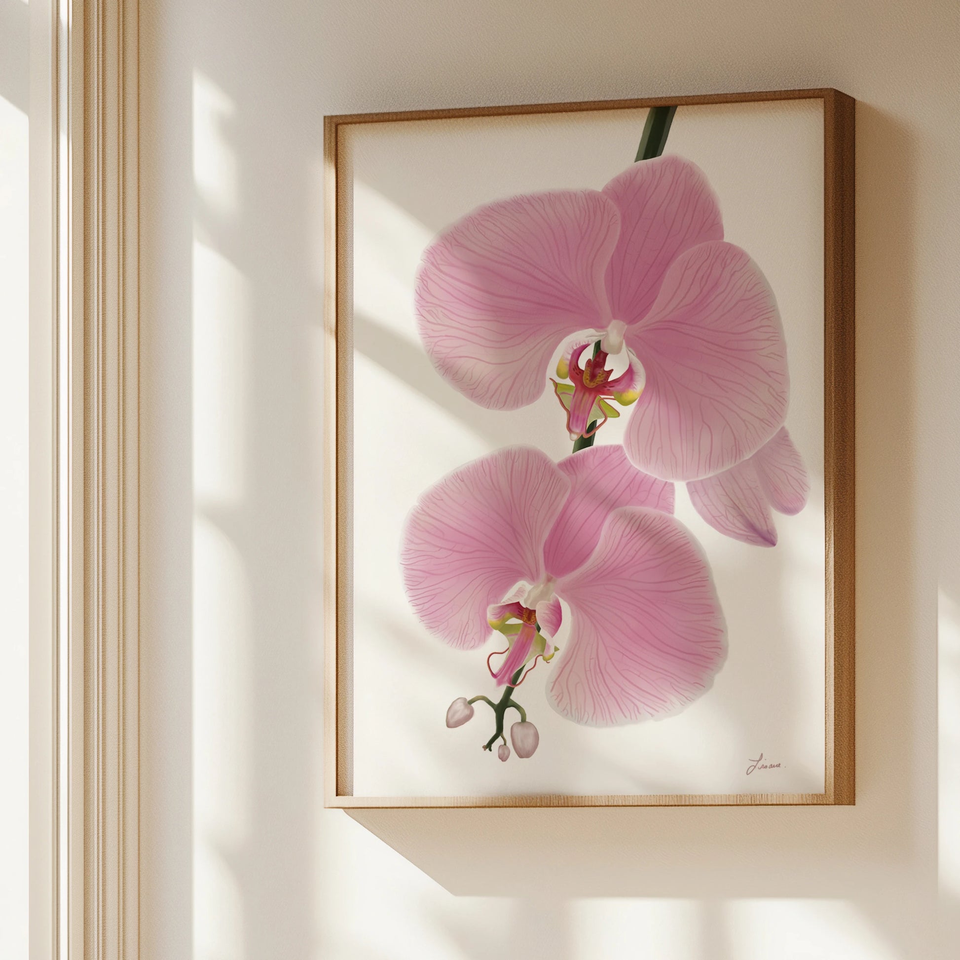 A framed painting of pink orchid flowers hangs on a light-colored wall. Sunlight streams in, casting soft shadows and creating a serene atmosphere. The realistic artwork features delicate petals and is available in floating wood frame options for a refined touch.
