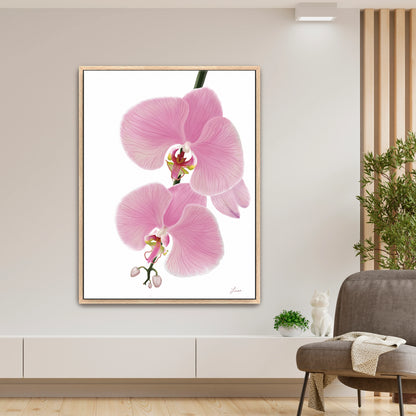 Fresh, modern living space showcasing a vibrant pink orchid canvas art by Lisane Art, with blossoms flowing leftward against a clean white background - set in a rich oak frame for timeless elegance. 