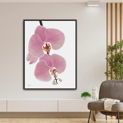Fresh, modern living space showcasing a vibrant pink orchid canvas art by Lisane Art, with blossoms flowing rightward against a clean white background - enclosed in a sleek black floating frame. 