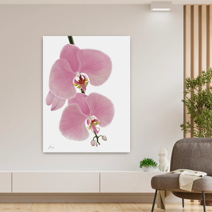 Fresh, modern living space showcasing a vibrant pink orchid canvas art by Lisane Art, with blossoms flowing rightward against a clean white background - displayed as a gallery-wrapped canvas.