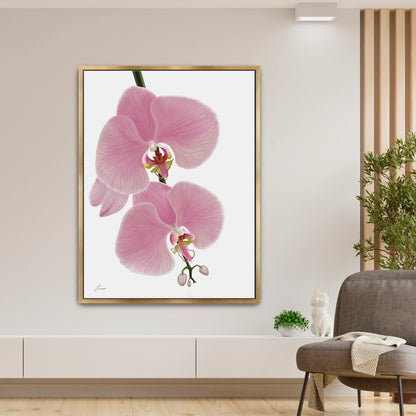 Fresh, modern living space showcasing a vibrant pink orchid canvas art by Lisane Art, with blossoms flowing rightward against a clean white background - elegantly framed in a luxurious gold floating frame. 